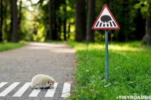 W wilnie zainstalowane znaki drogowe dla zwierząt